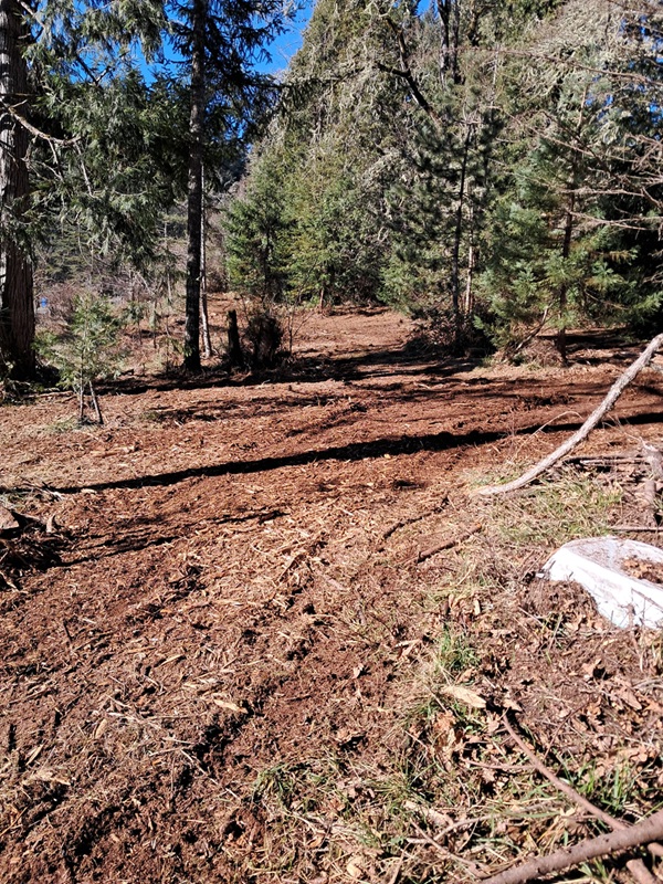 Forestry Mulching and Construction, LLC