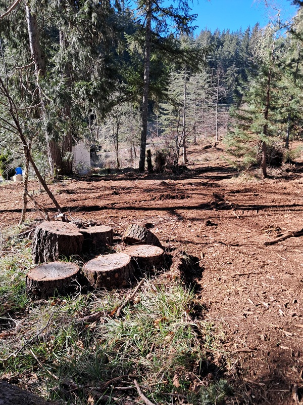 Forestry Mulching and Construction, LLC