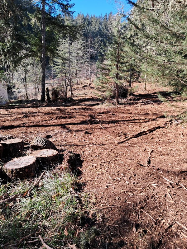 Forestry Mulching and Construction, LLC