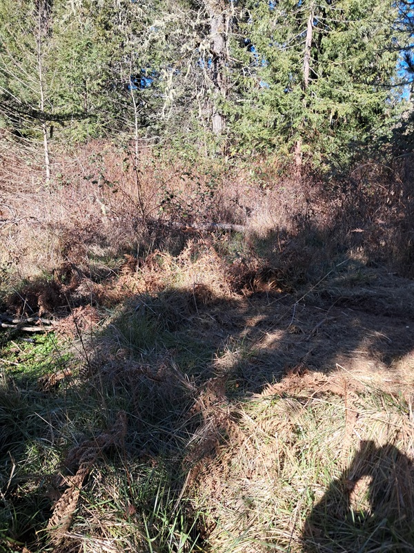 Forestry Mulching and Construction, LLC